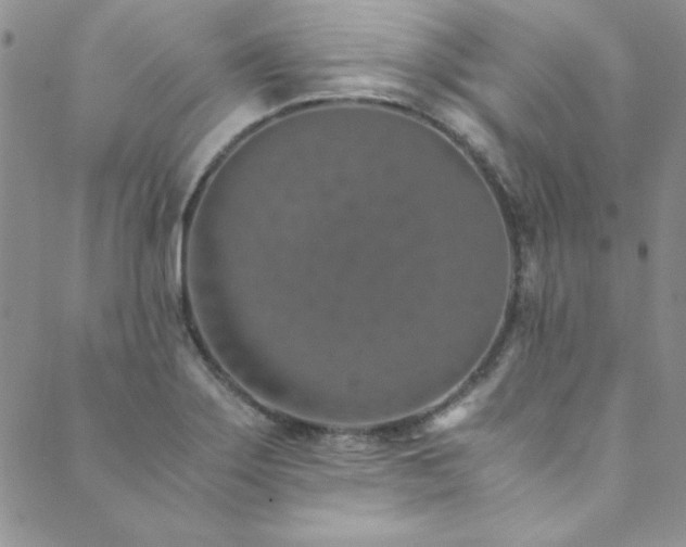 X0000089871275200706281307