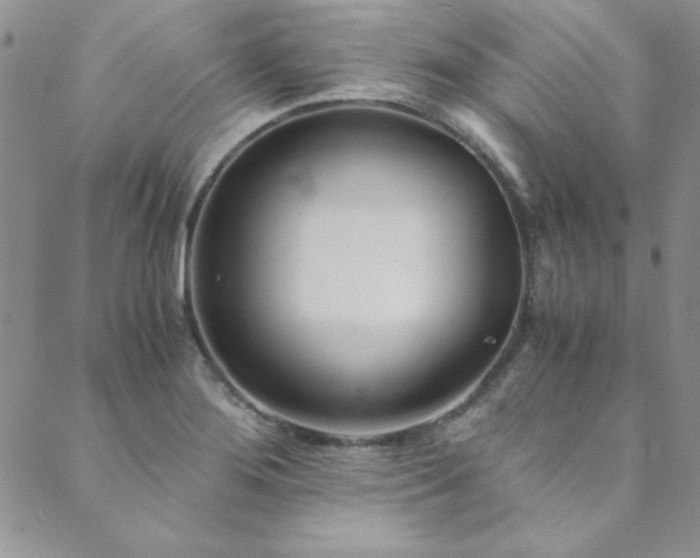 X0000089871276200706281307