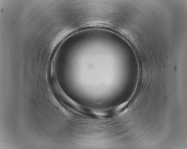 X0000089871277200706281307