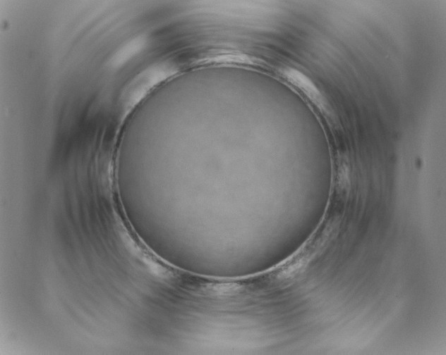 X0000089871282200706281307
