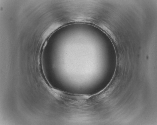 X0000089871285200706281307