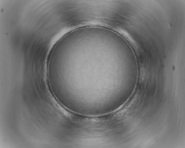 X0000089871286200706281307