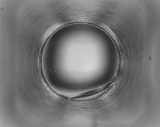X0000089871293200706281306