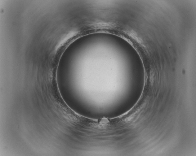 X0000089871309200706281306