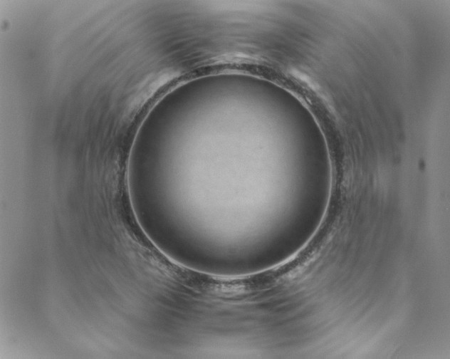 X0000089871313200706281306