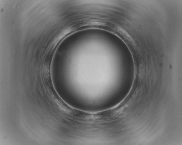 X0000089871321200706281306