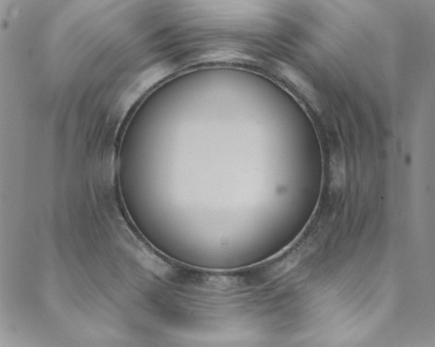 X0000089871322200706281306
