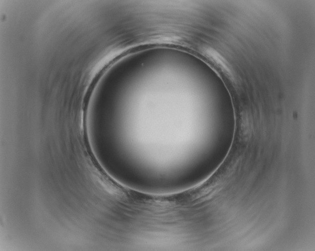 X0000089871324200706281306