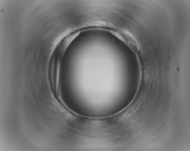 X0000089871326200706281306