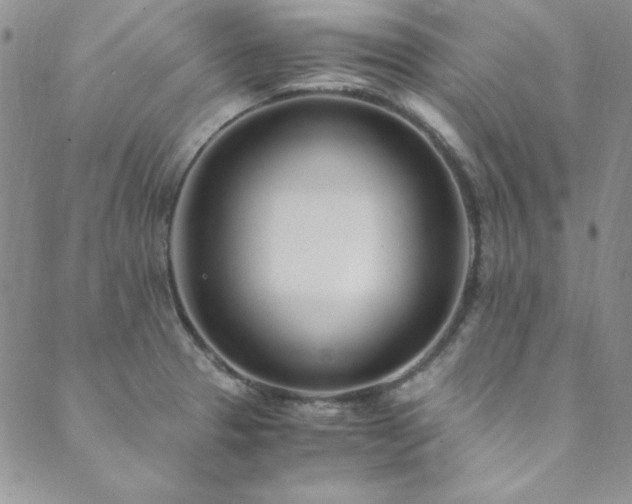 X0000089871329200706281306