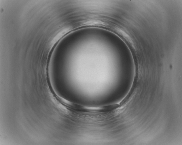 X0000089871330200706281306