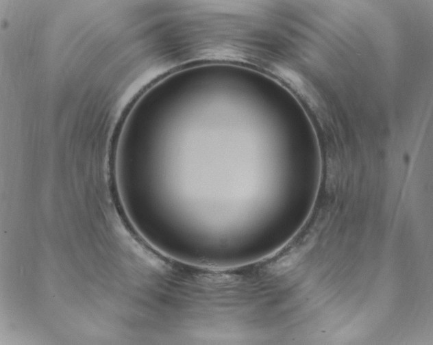 X0000089871331200706281306