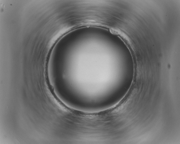 X0000089871333200706281306