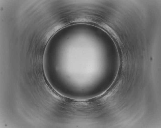 X0000089871337200706281306