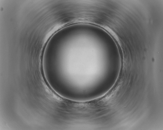 X0000089871341200706281306