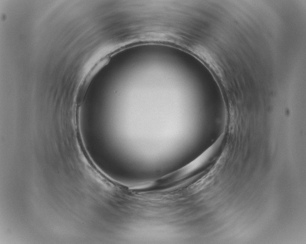 X0000089871342200706281306