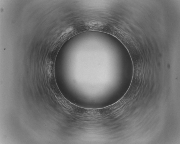 X0000089871346200706281306