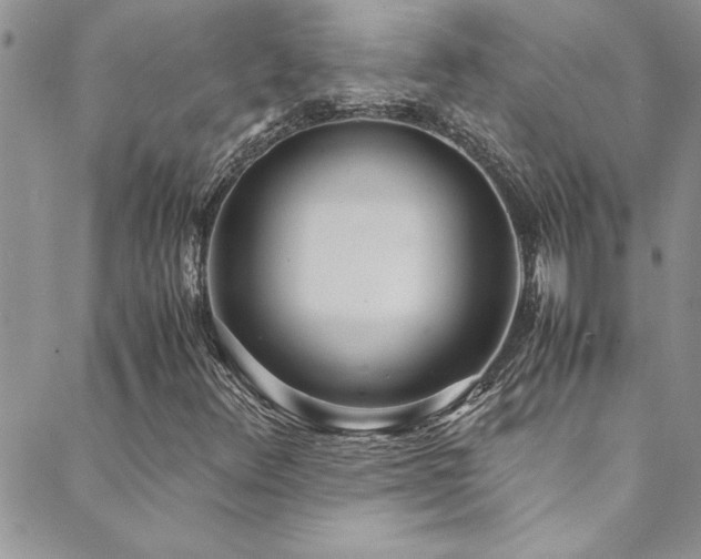 X0000089871348200706281306