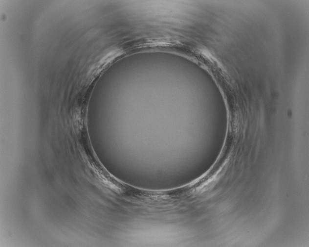 X0000089871353200706281306