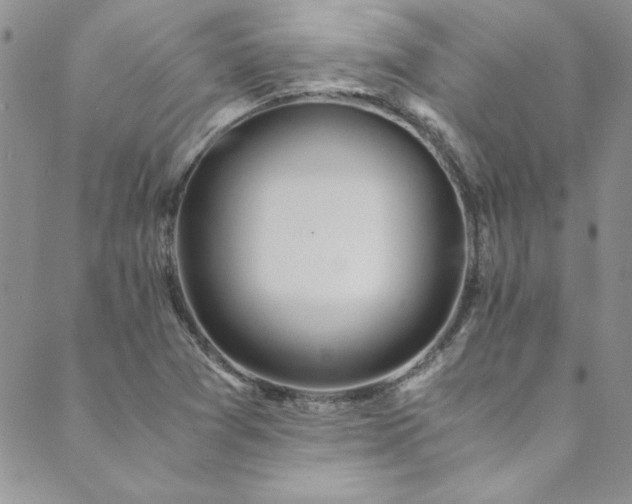 X0000089871361200706281305