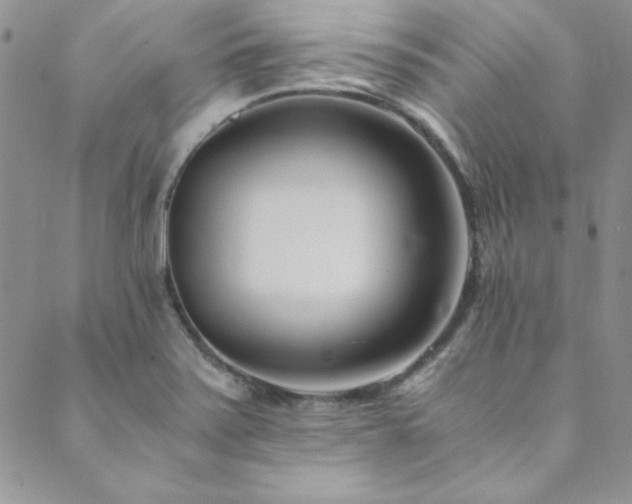 X0000089871371200706281305