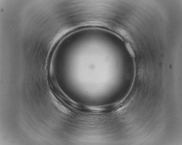 X0000089871372200706281305