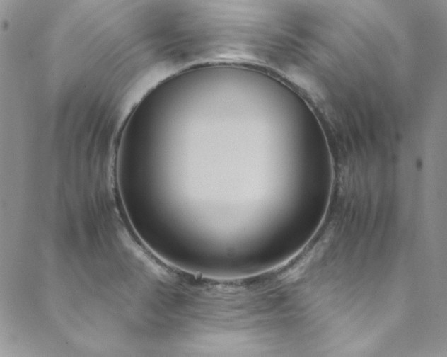 X0000089871374200706281305