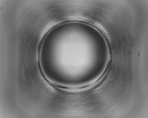 X0000089871376200706281305