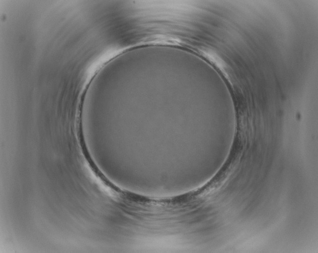 X0000089871379200706281305
