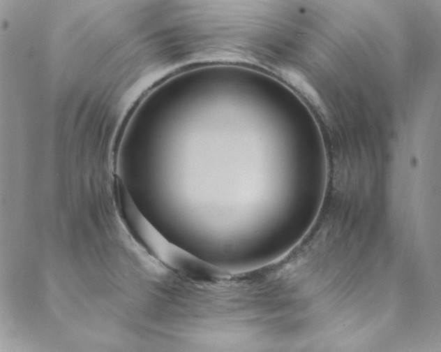 X0000089871380200706281305
