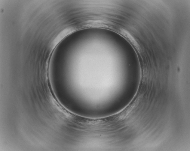 X0000089871386200706281305