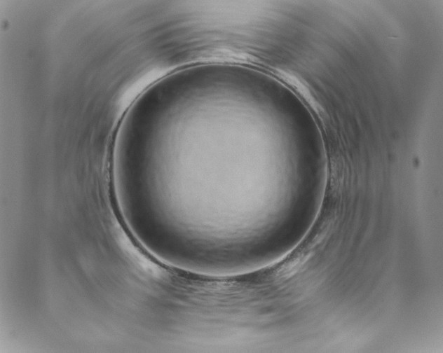 X0000089871387200706281305