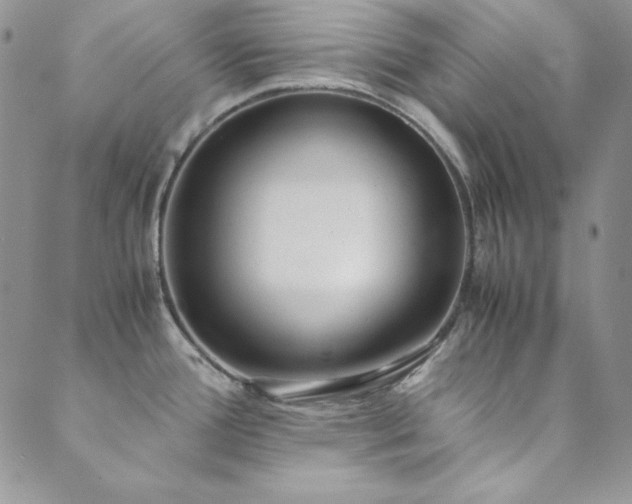 X0000089871388200706281305