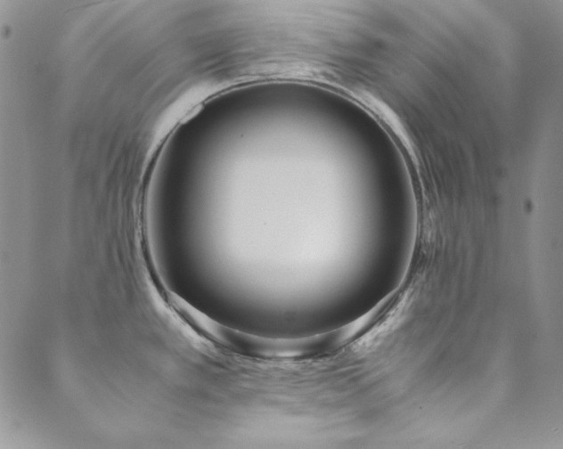 X0000089871389200706281305