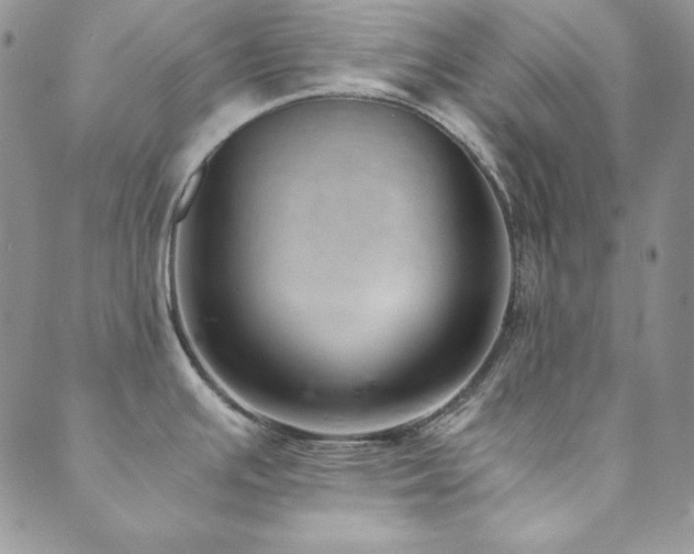 X0000089871391200706281305