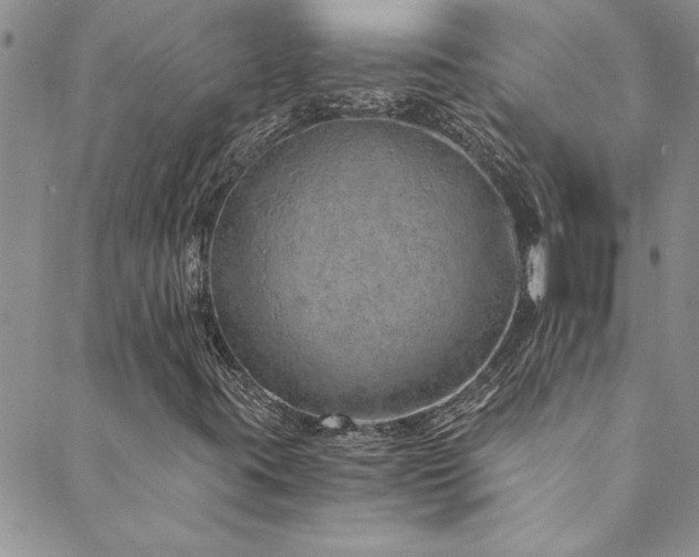 X0000089871395200706281304