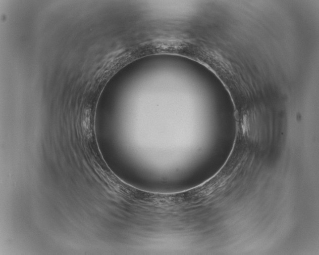 X0000089871396200706281304