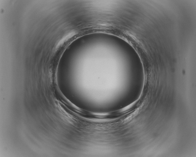 X0000089871402200706281304