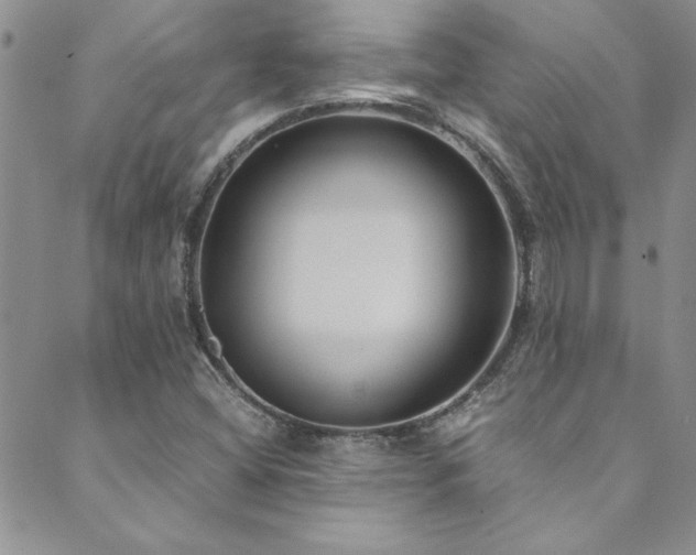 X0000089871404200706281304