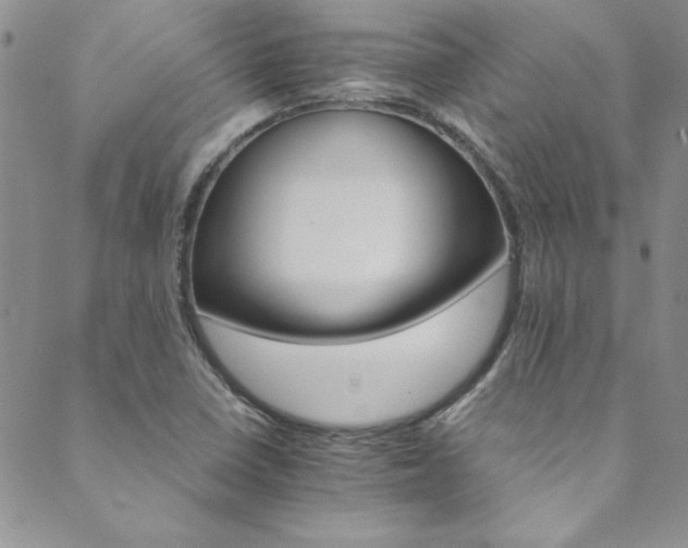 X0000089871410200706281304