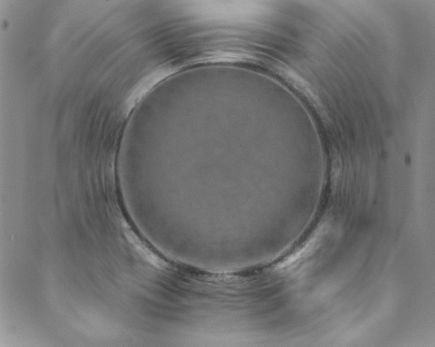 X0000089871417200706281304