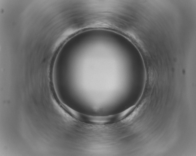 X0000089871422200706281305