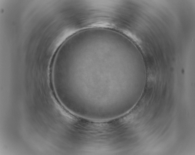 X0000089871423200706281305
