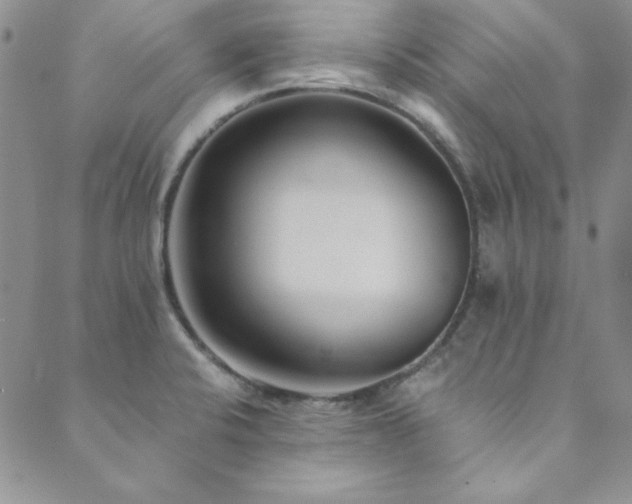 X0000089871424200706281305