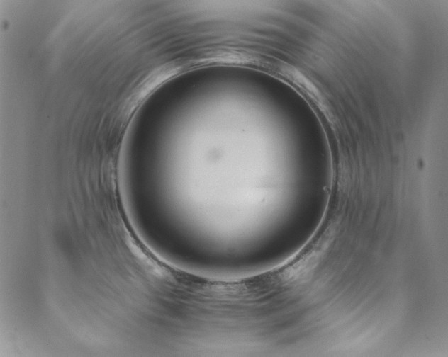 X0000089871433200706281305