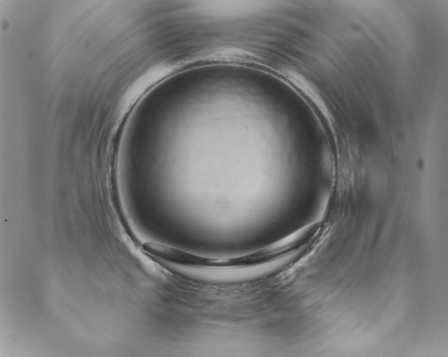 X0000089871437200706281305
