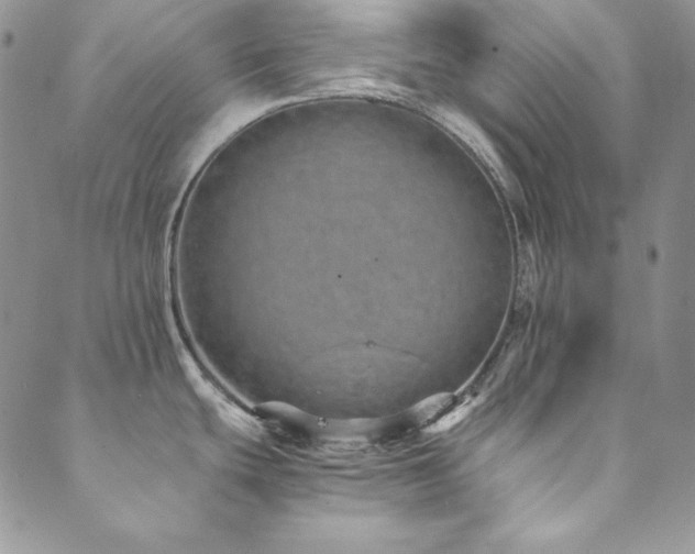 X0000089871439200706281305