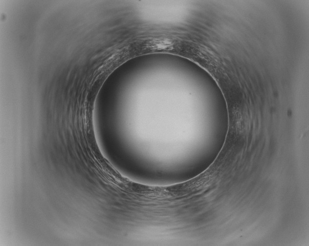 X0000089871442200706281304