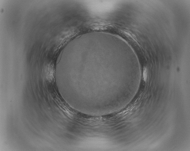 X0000089871444200706281304