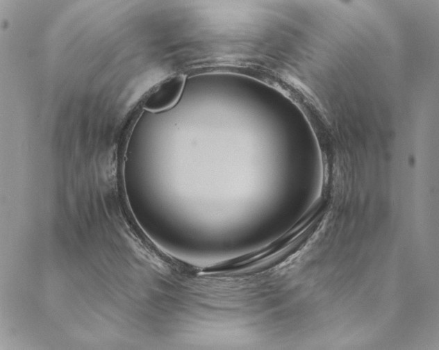 X0000089871450200706281304